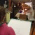 Lab06.JPG