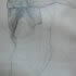 2003,_studio_di_laboratorio,_grafite_su_carta,_82x56.jpg